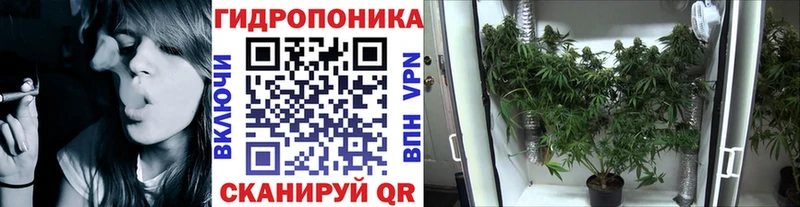 Бошки марихуана LSD WEED  Купить закладки  Волгореченск 